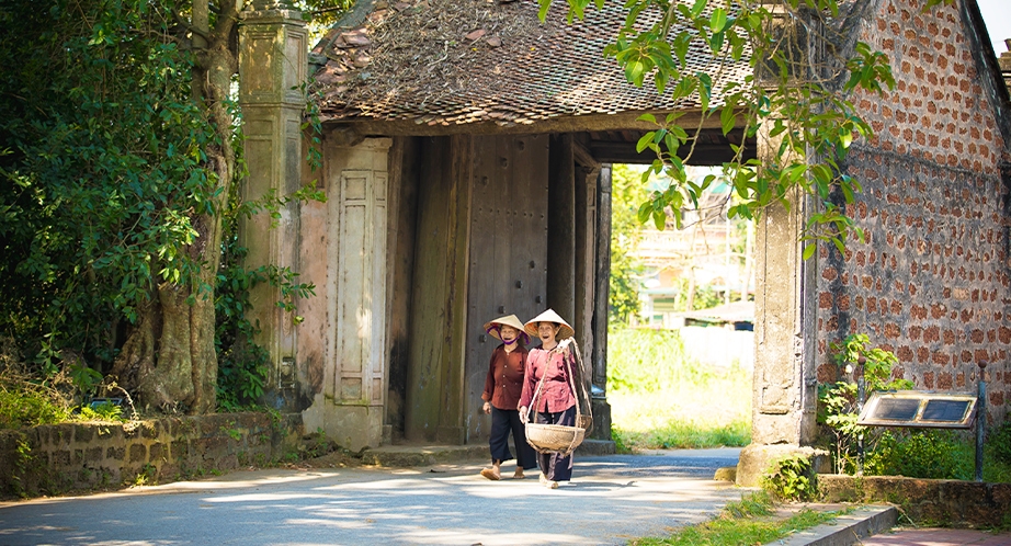 Full day: Son Dong Village - Duong Lam Ancient Village Tour (Lunch)